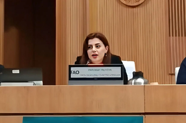 Парвана Велиева: Азербайджан стремится сыграть роль связующего звена между странами на COP29